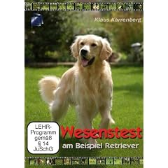 Wesenstest am Beispiel Retriever