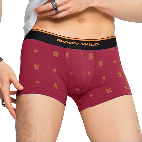 グンゼ(GUNZE) BODYWILD ボディーワイルド Spice-of-BRITISH ローライズボクサー BWR192V JUST Trend