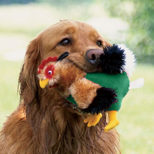 Rooster Squeak Toy / Regular 6″H