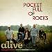 Alive by Pocket Full Of Rocks