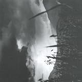 Tenebrosus