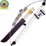 Arrow Precision® Impala Youth Archery Compound Bow Set