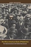 The African American roots of modernism : from Reconstruction to the Harlem Renaissance