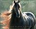 Romancing the Horse 2007 Calendar