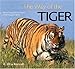 The Way of the Tiger: Natural History and Conservation of the Endangered Big Cat (Worldlife Discovery Guides) (Worldlife Discovery Guides)