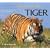 The Way of the Tiger (Worldlife Discovery Guides)