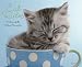 Cat Rules 2010 Calendar: Virtues of Teh Feline Character