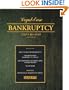 Bankruptcy Step-by-Step (Barron's Legal-Ease)