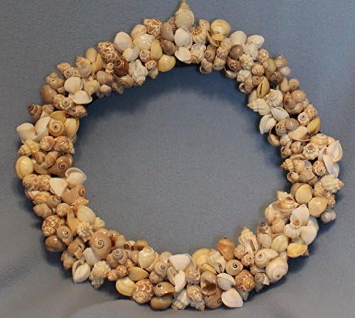 Assorted Shell Wreath, 14" Round. Shells & Rope on a Vine Base.