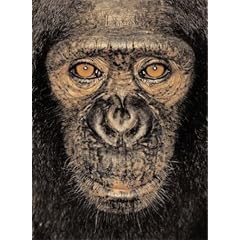 James & Other Apes