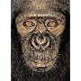 James and Other Apes