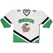 Search : North Dakota Fighting Sioux Nike Replica Home Hockey Jersey