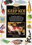 How to Keep Koi: An Essential Guide (Pond & Aquatic)