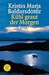 K�hl graut der Morgen. Roman