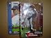 McFarlane MLB Series 2 Greg Maddux in Atlanta Braves Grey Jersey Chase Variant Figure