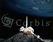 Satellite in Space Shuttle's Cargo Bay, Art Poster, size 20