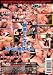『THEレイフ゜500分2枚組 [DVD]』の写真