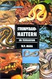 Strumpfbandnattern im Terrarium