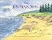The Orphan Seal: A True Story