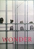 Wonder : painted sculpture from medieval England