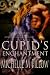 Cupid's Enchantment (Naughty Cupid)