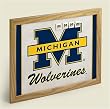 Michigan Wolverines ~ cork Bulletin Board ~ code 909