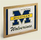 Michigan Wolverines ~ cork Bulletin Board ~ code 909