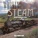 Book Working Steam: Vintage Locomotives Today