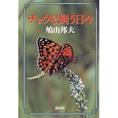 �`���E���������X
