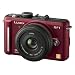 Panasonic �f�W�^�����J���� GF1 �����Y�L�b�g(20mm/F1.7�p���P�[�L�����Y�t��) �A�[�o�����b�h DMC-GF1C-R