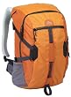 Kelty Radii 27  Backpack