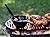 Lodge L410 Pre-Seasoned Sportsman's Charcoal Grill