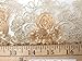 Corsage Lace Embroidered Roses on Mesh Champagne 56 Inch Wide Fabric By the Yard (F.E.