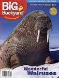 Your Big Backyard (1-year auto-renewal)