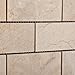 Bursa Beige/Sandy Beige Marble 2 X 4 Polished Brick Mosaic Tile - 6