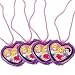 Disney Fairy Tale Princess Lip Gloss Necklaces, 4-Count Packages (Pack of 4)
