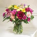 Friendship Bouquet Carnations and Freesias in Mixed Colours