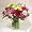 Friendship Bouquet Carnations and Freesias in Mixed Colours