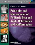 The foot and ankle