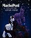 MachoPoni