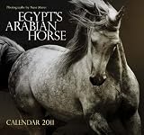 Egypts Arabian Horse: Wall Calendar 2011
