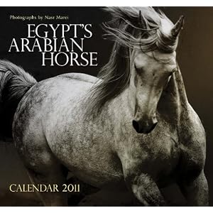 Egypts Arabian Horse: Wall Calendar 2011