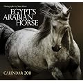 Egypt's Arabian Horse: Wall Calendar 2011