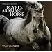 Egypt's Arabian Horse: Wall Calendar 2011