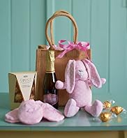 Baby Girl Celebration Gift Bag