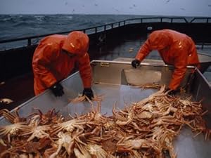 Crab Fishermen Sorting their Catch on the Deck Photographic Poster Print