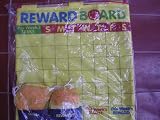 Reward Board 20 Hanging Children's Chores Chart