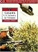 Grunts US Infantry Vietnam (G.I. Series)