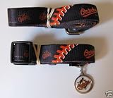 Baltimore Orioles Dog Pet Set Leash Collar ID Tag XS