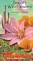 Desert Wildflowers [VHS]